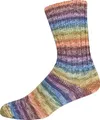Sockenwolle Sort. 387 MERINO-EXTRAFEIN COLOR (3180)