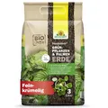 Neudorff NeudoHum Grünpflanzen und Palmenerde 3 Liter - Torffreie Bio Erde für Palmen - Monstera Erde ohne Torf fördert gesunde Zimmerpflanzen mit grünen Blättern - 100% vegan
