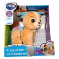 Vtech Krabbel-mit-Mir-Hündchen – Interaktives Plüschtier, das alleine krabbelt, 