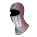Dainese AGV Logo Sturmhaube