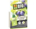 Lockstoff COMPO BIO Pflaumenwickler Lockstoff passend zur COMPO Universal-Tricht