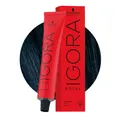 Schwarzkopf Igora Royal 1-1 Cendré Schwarz 60ml- Permanente Färbung