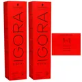 Schwarzkopf Igora Royal 2 x 60 ml 1-1 blauschwarz Haarfarbe Cremefarbe Set