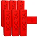 Schwarzkopf Igora Royal 6 x 60 ml 1-1 blauschwarz Haarfarbe Cremefarbe Set