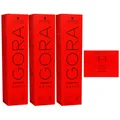 Schwarzkopf Igora Royal 3 x 60 ml 1-1 blauschwarz Haarfarbe Cremefarbe Set
