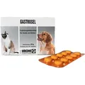 Gastrosel 100 Tabletten