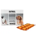 Gastrosel 100 Tabletten Unterstützung der Verdauung für Hunde Katzen Selectavet