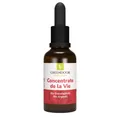 GREENDOOR Concentrate de la Vie Granatapfel