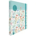 Verlag an der Ruhr Lehrerkalender Mein Lehrerplaner - A5+ - Ringbindung - Lehrerkalender für das Schu...