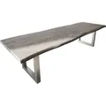 DELIFE Esstisch Edge, Akazie Platin 300x100 XL Edelstahl Breit Live-Edge grau Baumkante Rechteck, Plattenstärke: 5,5 cm | 300 cm x 77 cm x 100 cm
