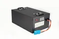 LERIAN POWER LiFePO4 Akku 48V 50Ah 60A Lithium-Eisenphosphat Batterie Boot E-Mobil Akku