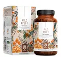NATURTREU® Pilzkraft 120 Kapseln Pilz Komplex hochdosiert mit Hericium Erinaceus (Lions Mane) Extrakt, Chaga, Reishi Extrakt, Shiitake Extrakt, Beta Glucan, Vitamin B2, B5 & B6