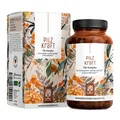 Pilz Komplex Lions Mane Chaga Vitalpilze Reishi 120 Kapseln Pilzkraft NATURTREU®