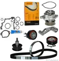 CONTI Zahnriemen+Satz+WP+D.K VW BORA GOLF 4 5 PLUS CADDY 3 LUPO POLO 1.4 1.4 16V