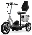 3 Rad Elektromobilität Roller Seniorenmobil Dreirad mit korb Silber VELECO ZT16