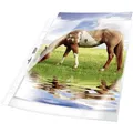 Prospekthülle DURABLE