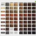 SANTE Naturkosmetik Pflanzenhaarfarbe Vanilleblond 100g Bio-Henna Cassia vegan