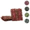 Mendler Wandfliese HWC-L78, Sichtschutz Windschutz Verkleidung für Terrasse/Balkon, 4x je 50x50cm = 1m˛ ~ Va 117648
