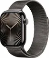 Apple Watch Series 10 GPS + Cellular 42mm Titan Schiefer mit Milanaise-Armband Schiefer