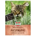 Sperli Saatgut Katzengras Mini-Tiger-Gras