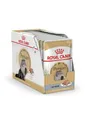 ROYAL CANIN Persian Adult Mousse | 12 x 85 g | Alleinfuttermittel für Katzen - speziell für ausgewachsene Perserkatzen | Geeignet ab dem 12. Lebensmonat