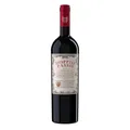 Doppio Passo Rotwein Primitivo Puglia halbtrocken Italien 1 x 0,75 L  Rotwein