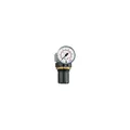 Riegler Druckregler »Standard-mini« Schalttafelmutter G 1/4 0,1-3 bar