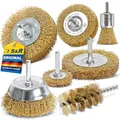 S&R Drahtbürste Set 7-teilig für Bohrmaschine Stahldraht vermessingt - Rundschaft 6mm - Scheibenbürsten 38, 50, 75, 100 mm, Topfbürste 75 mm, Pinselbürste 25 mm, Rohrbürste Drahtbürstensatz