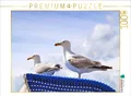 CALVENDO Puzzle Möwen auf einem Strandkorb an der Ostsee | 1000 Teile Lege-Größe 64x48cm Foto-Puzzle für glückliche Stunden