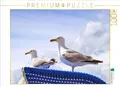 CALVENDO Puzzle Möwen auf einem Strandkorb an der Ostsee | 1000 Teile Lege-Größe 64 x 48 cm Foto-Puzzle für glückliche Stunden