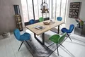 Esstisch SIT "Tops&Tables", beige (natur), B:200cm H:77cm T:100cm, Tische, Esstisch, mit Tischplatte aus Wildeiche, mit Baumkante we gewachsen, Vintage