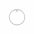 AQUARIAN 12" Force Ten Clear Tom Fell