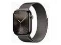 Apple Watch Series 10 (GPS + Cellular) 46mm Titan Schiefer mit Milanaise-Armband M/L Schiefer