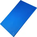 Schneidebrett aus Kunststoff Extra Groß – Farbe Blau: Für Fisch – Farbcodierung nach HACCP – Profi Gastro Schneidebretter – Spülmaschinenfest, ca. 45 x 30 cm – FMprofessional