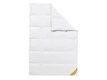 Balette deLuxe Gänsedaunen-Kassettenbettdecke Gold-Edition warm (155 X 220 CM)