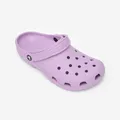 Clogs Damen/Herren Crocs Classic lila