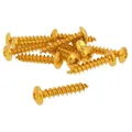 Bolzen Schraubenset 12x 30mm gold eloxiert 6er Gewinde für Verkleidungssysteme