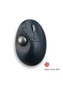 Kensington Pro Fit Ergo TB550 Trackball - Maus (Blau)