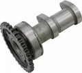 HOT CAMS 2041-1IN Ansaugnockenwelle