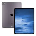 Apple iPad Pro 13 2024 WiFi 256GB Space Schwarz 7. Gen (M4) iOS Tablet wie neu