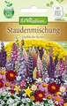 N.L.Chrestensen 5488, Staudenmischung halbhohe Sorten, Mehrfarbig
