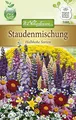 N.L. Chrestensen 5488 Staude Halbhohe Mischung (Staudensamen)