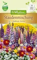 Staudenmischung Halbhohe Sorten Samen für ca.100 Pflanzen    5488