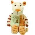 Regenbogen Winnie the Pooh Plüschtiger