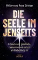 DIE SEELE IM JENSEITS: Erleuchtung geschieht, wenn von u... | Buch | Zustand gut