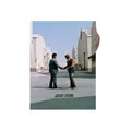 Wish You Were Here [Vinyl LP]