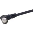 M23 12P MA,Innengewinde,ANG PVC-Kabel,5M - 1 Stück