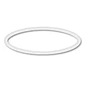 SunSun Ersatzteil für Schwimmbadpumpe O-Ring 2, leistungsstarke Poolfilteranlage, Filterpumpe mit hoher Förderleistung, robuste Pool Pumpe