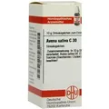 Avena Sativa C 30 Globuli 10 g