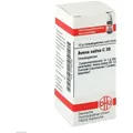 Avena Sativa C 30 Globuli 10 g